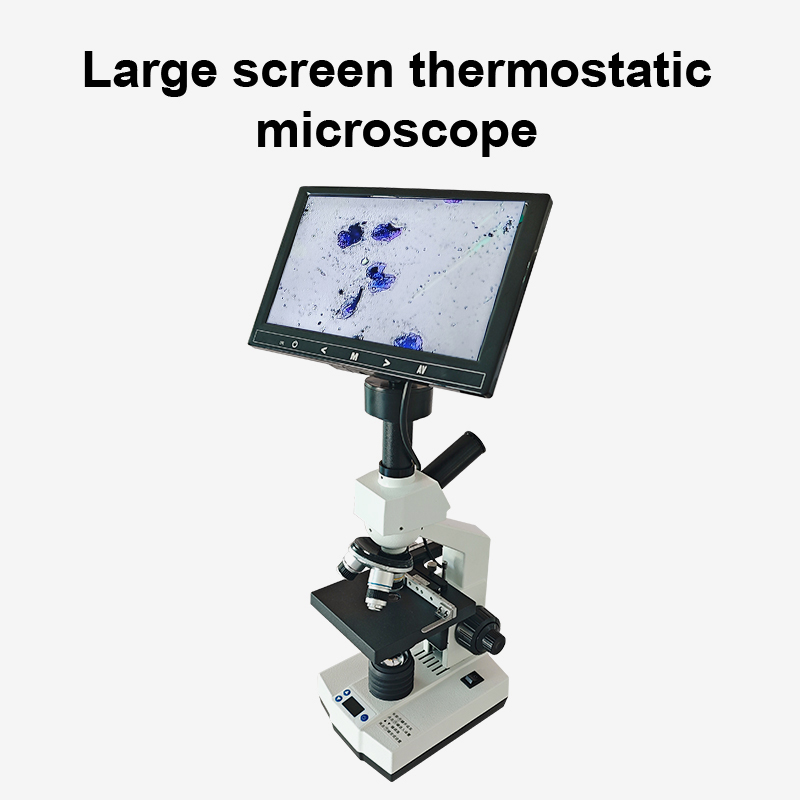 Microscope thermostatique de 7 pouces 9 pouces