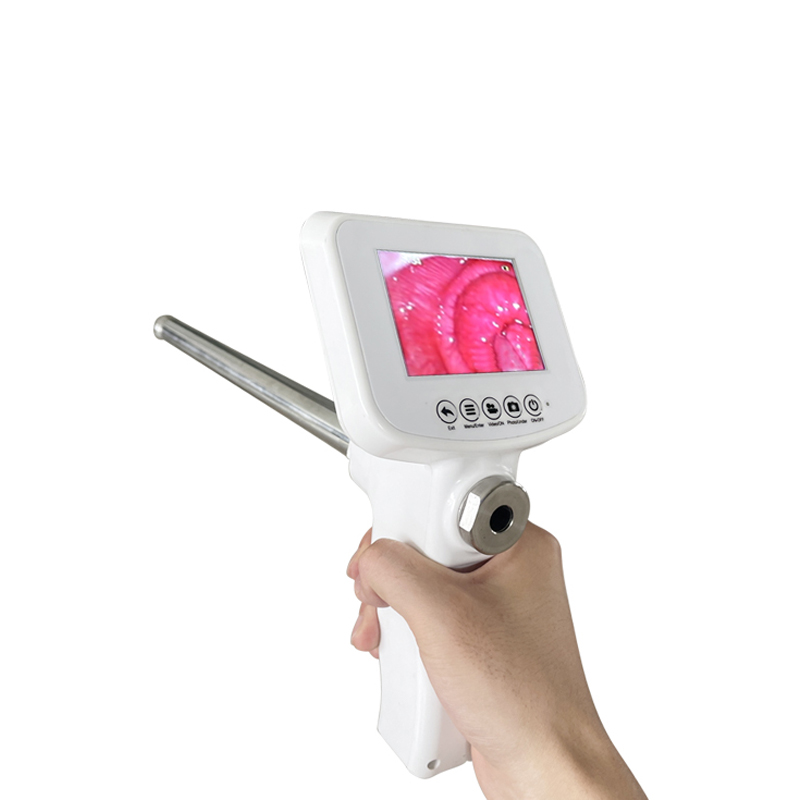 Pistolet portable pour insémination visuelle du bétail